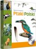 Ptaki Polski tom 1 Ptaki Polski tom 1